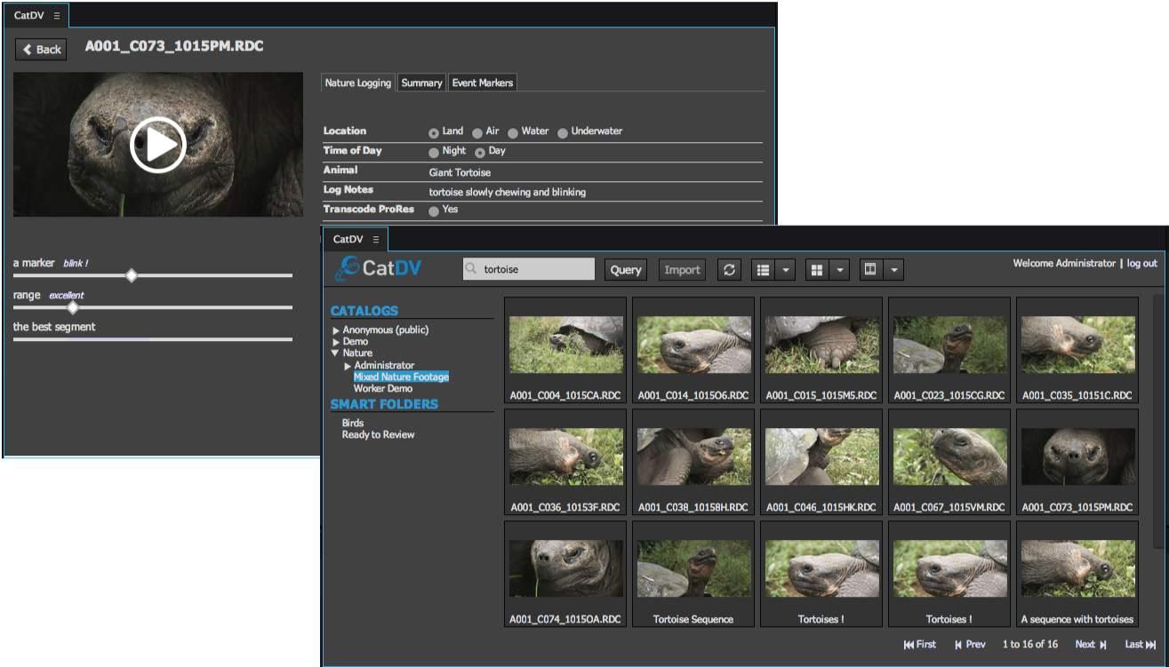 adobe premiere protorrent adobe premiere protorrent