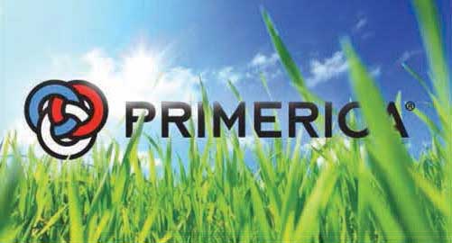 CatDV-Primerica-1