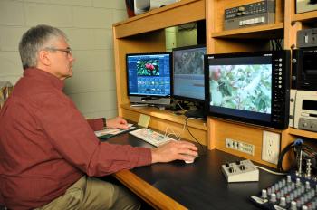 case-study-minnesota-1