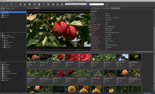 case-study-minnesota-2